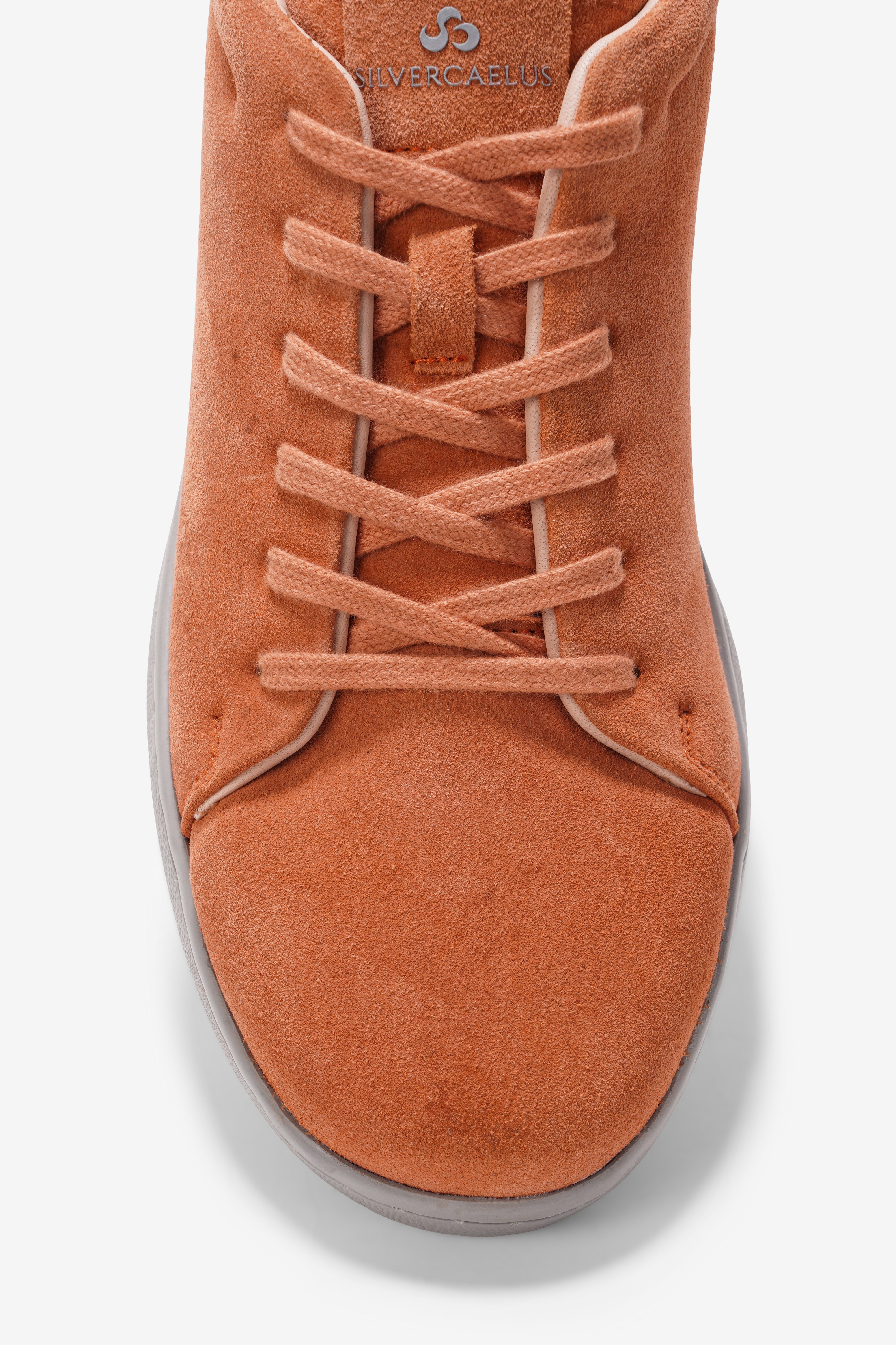Clay Coral