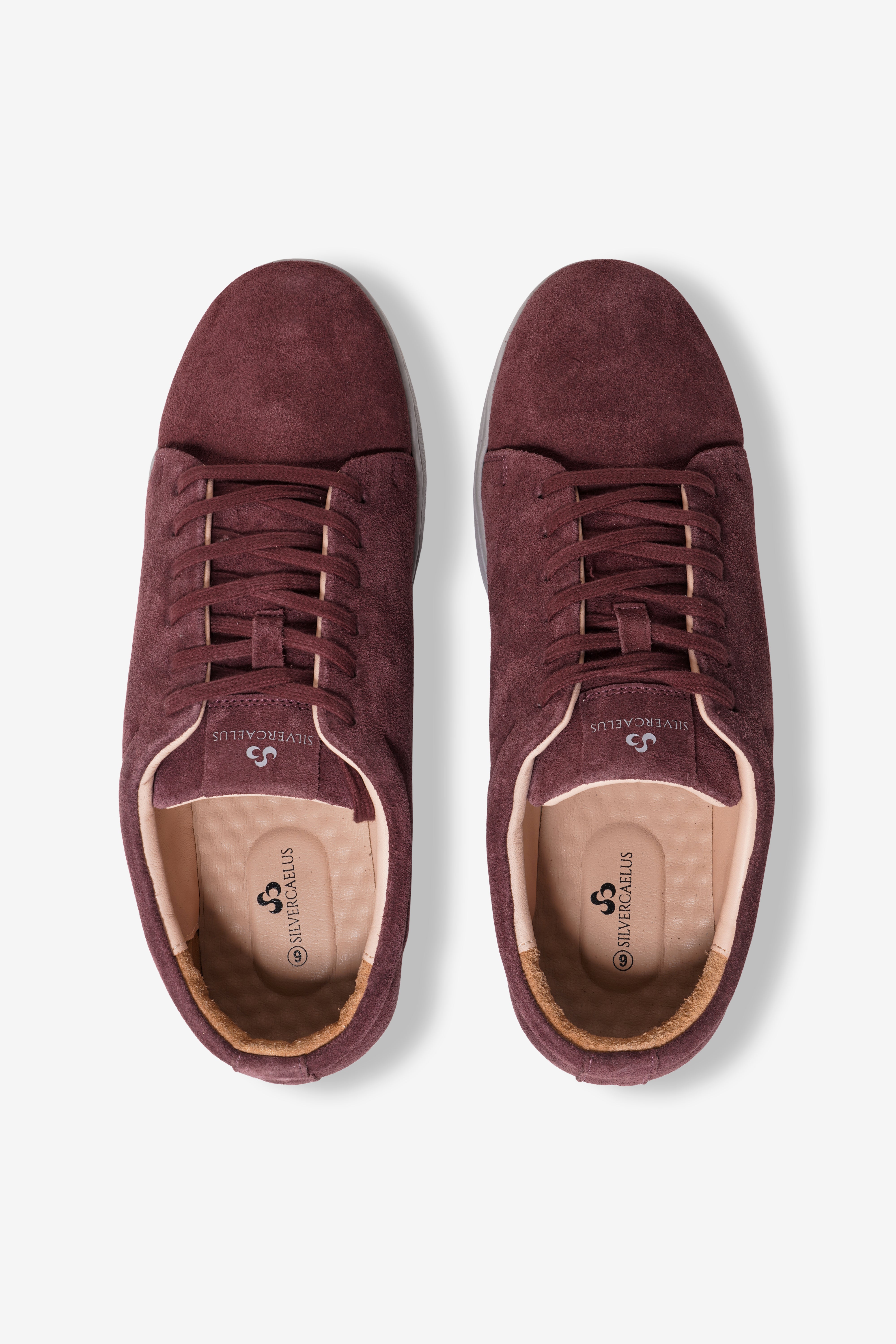 Merlot