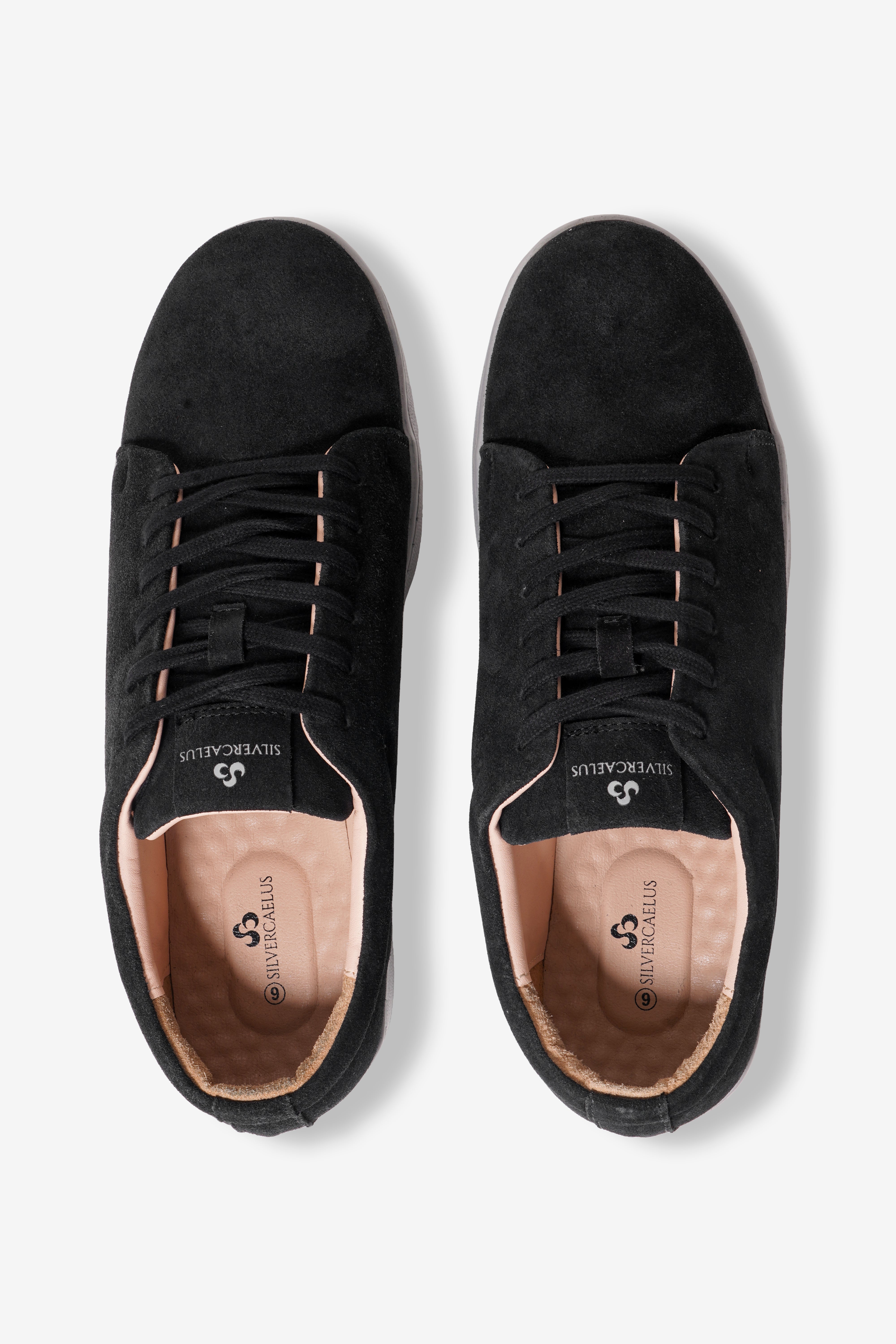 Obsidian Black