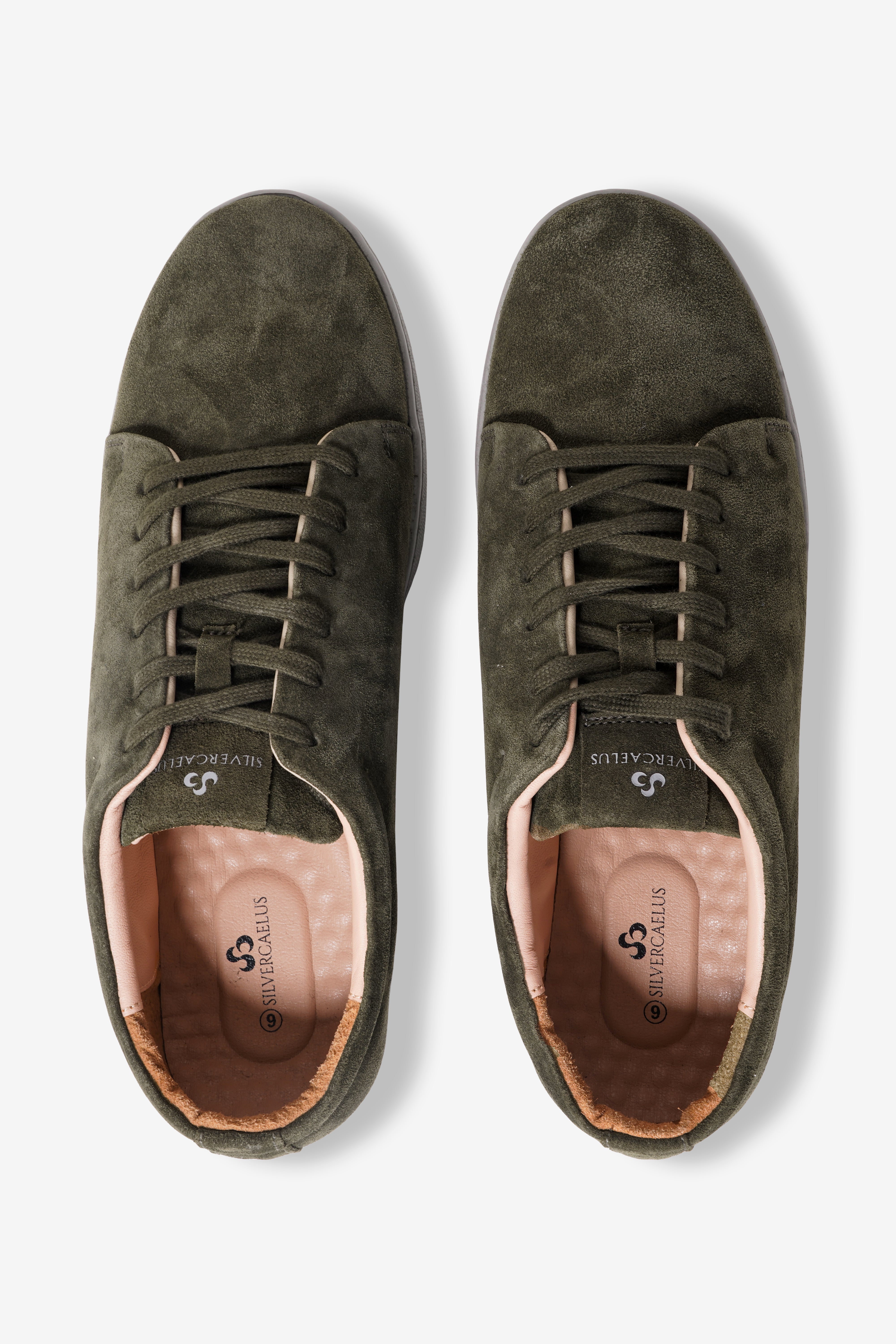 Moss Olive