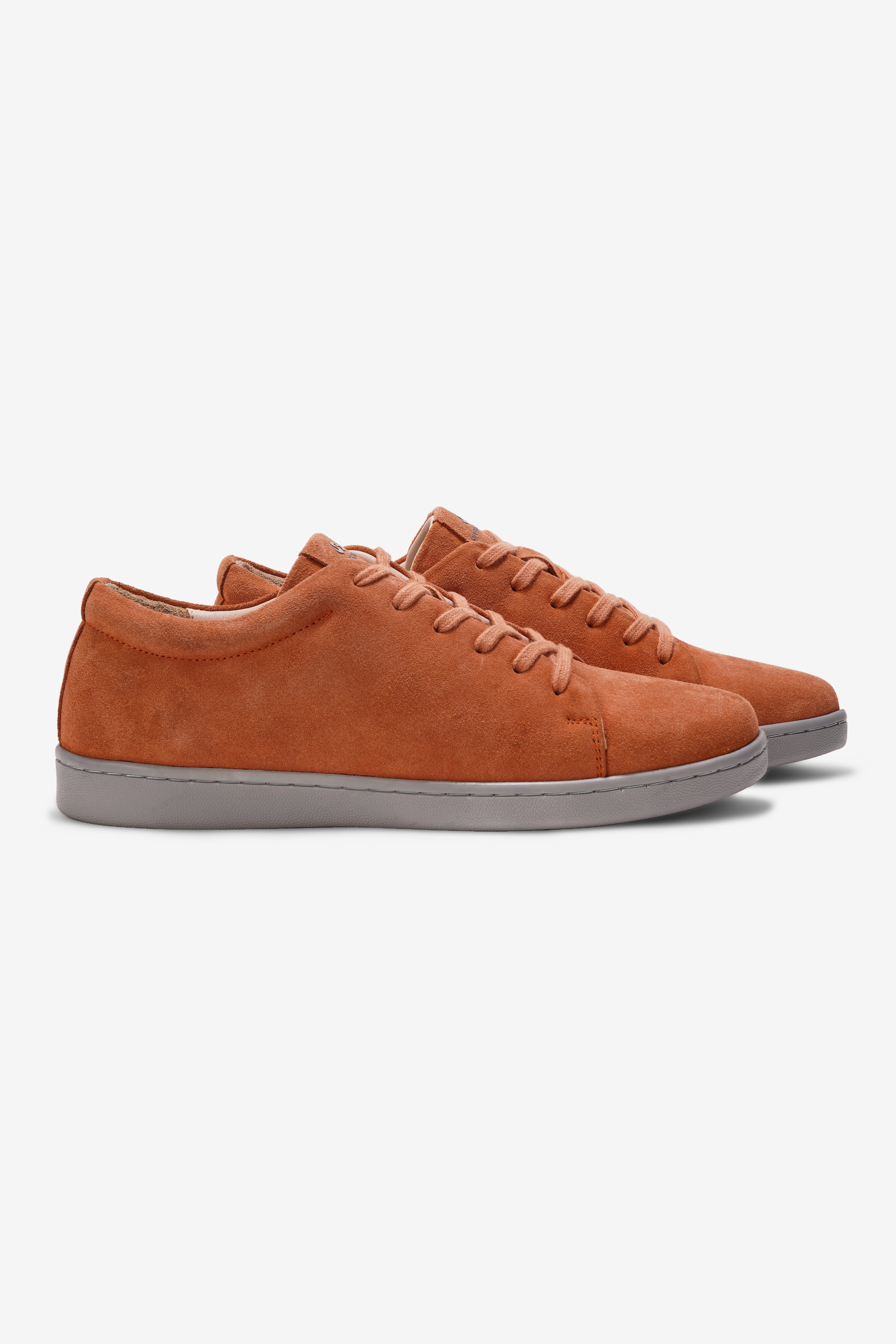 Clay Coral