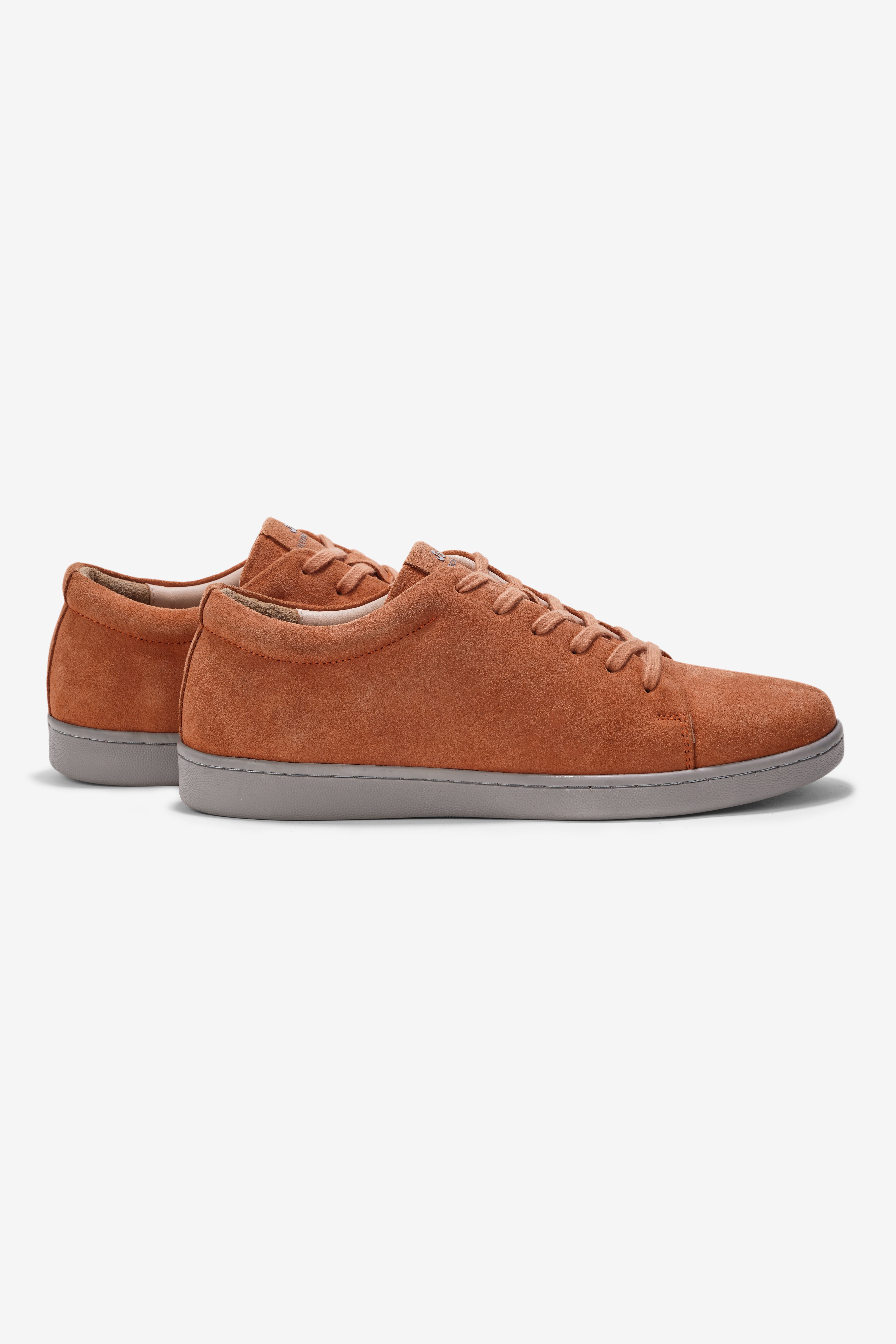 Clay Coral