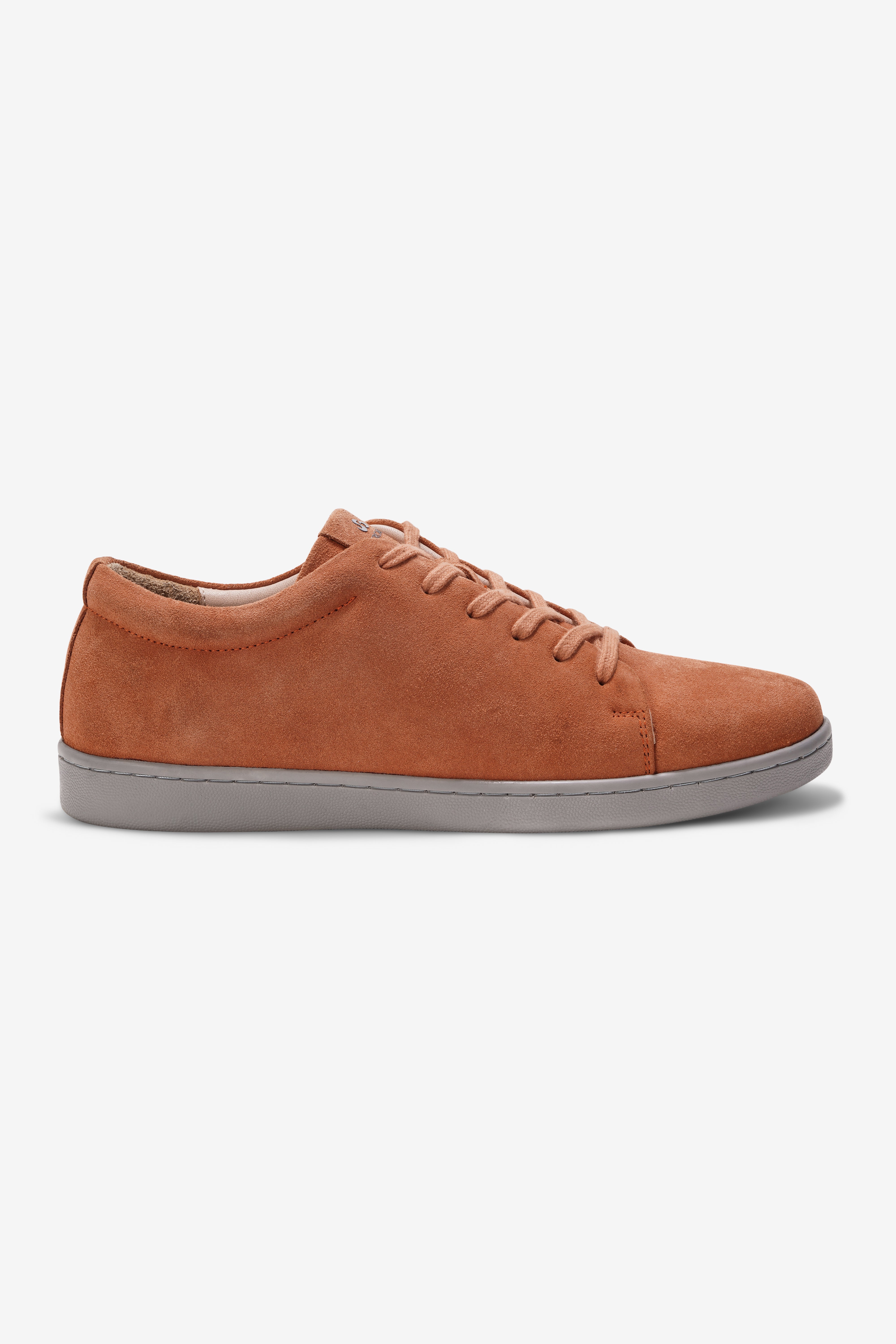 Clay Coral