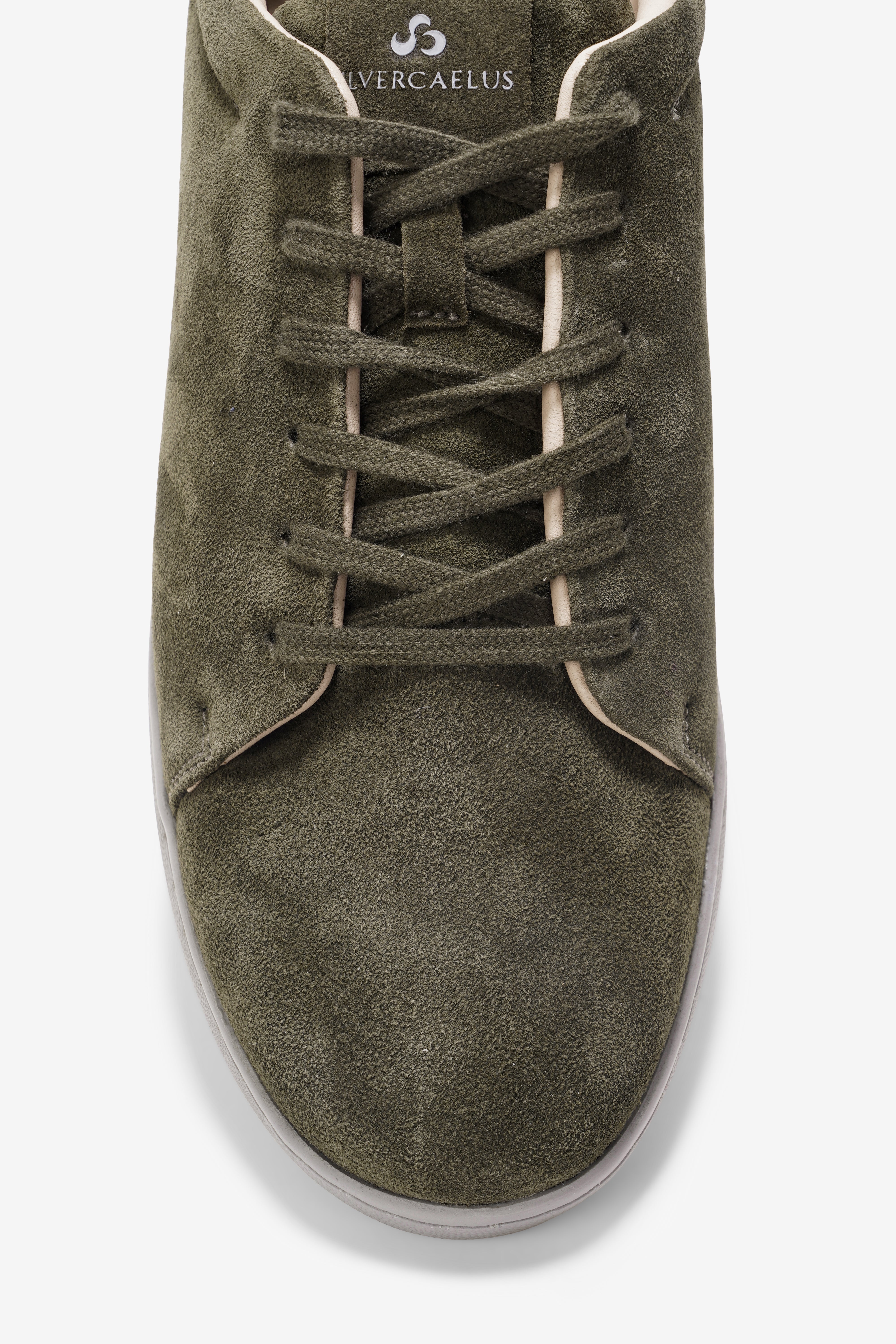 Moss Olive